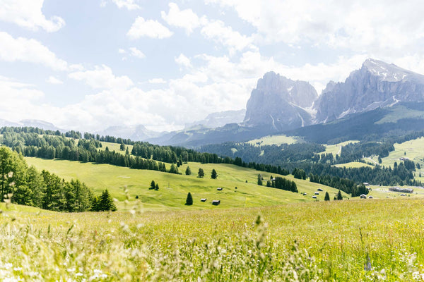 Qualitätsprodukte aus Südtirol